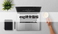 esg评分指标(esspri评分表)