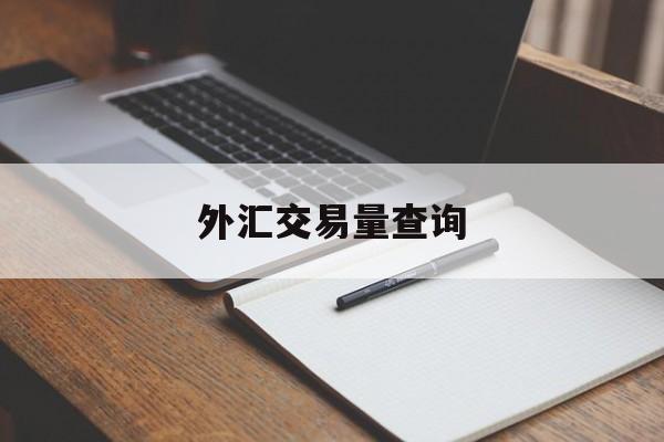 外汇交易量查询(外汇交易数据怎么看)