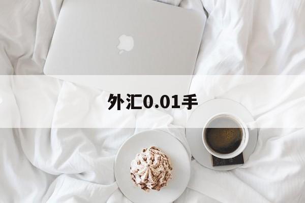 外汇0.01手(外汇001手能赚多少钱)