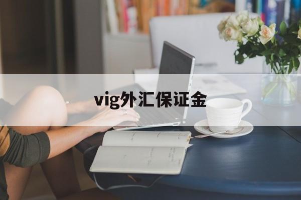 vig外汇保证金(外汇保证金计算公式详解)